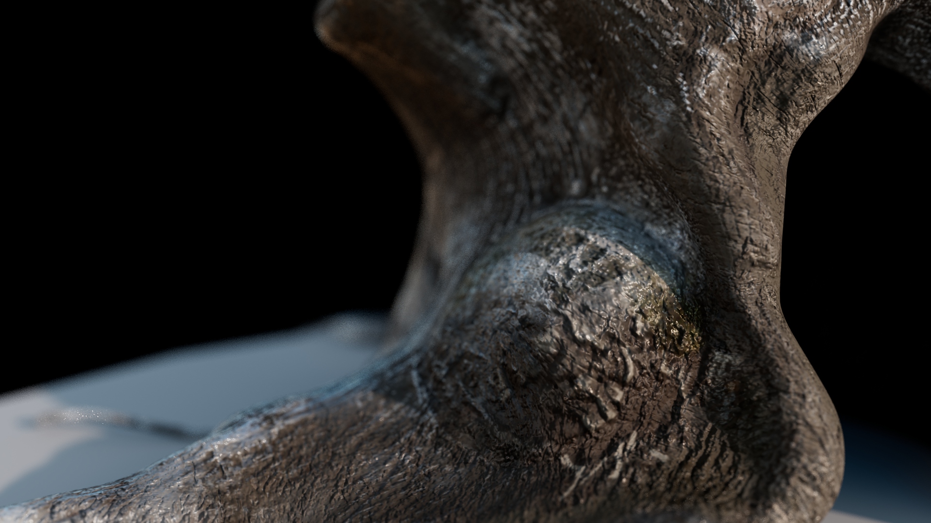 Old Tree Closeup Image